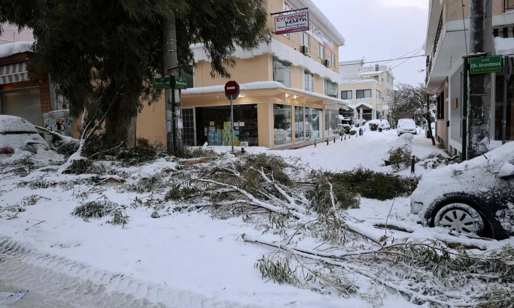 Κώστας Σκρέκας: Ανοιχτό το ενδεχόμενο για αποζημίωση σε όσους έμειναν χωρίς ρεύμα